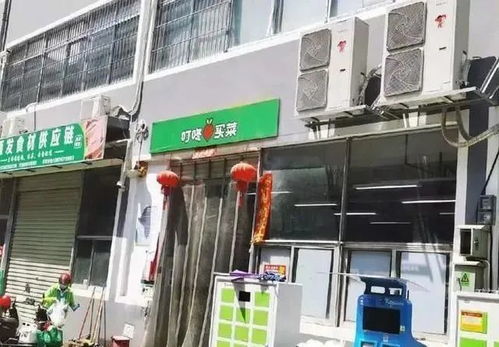 加快發展數字田園，以科技引領農業現代化轉型