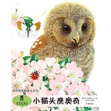 貓頭鷹價(jià)格查詢與比價(jià)攻略 從51比購返利網(wǎng)到貓頭鷹網(wǎng)絡(luò)科技