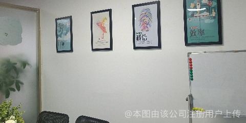 貓頭鷹網絡科技 洞察黑夜，引領未來